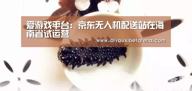 爱游戏平台：京东无人机配送站在海南省试运营